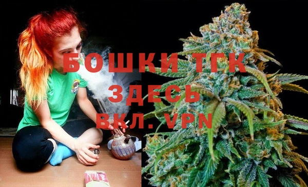 spice Касимов