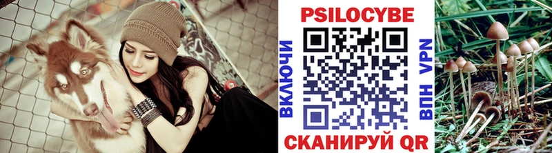 Галлюциногенные грибы Psilocybine cubensis  Купить закладки  Болхов 
